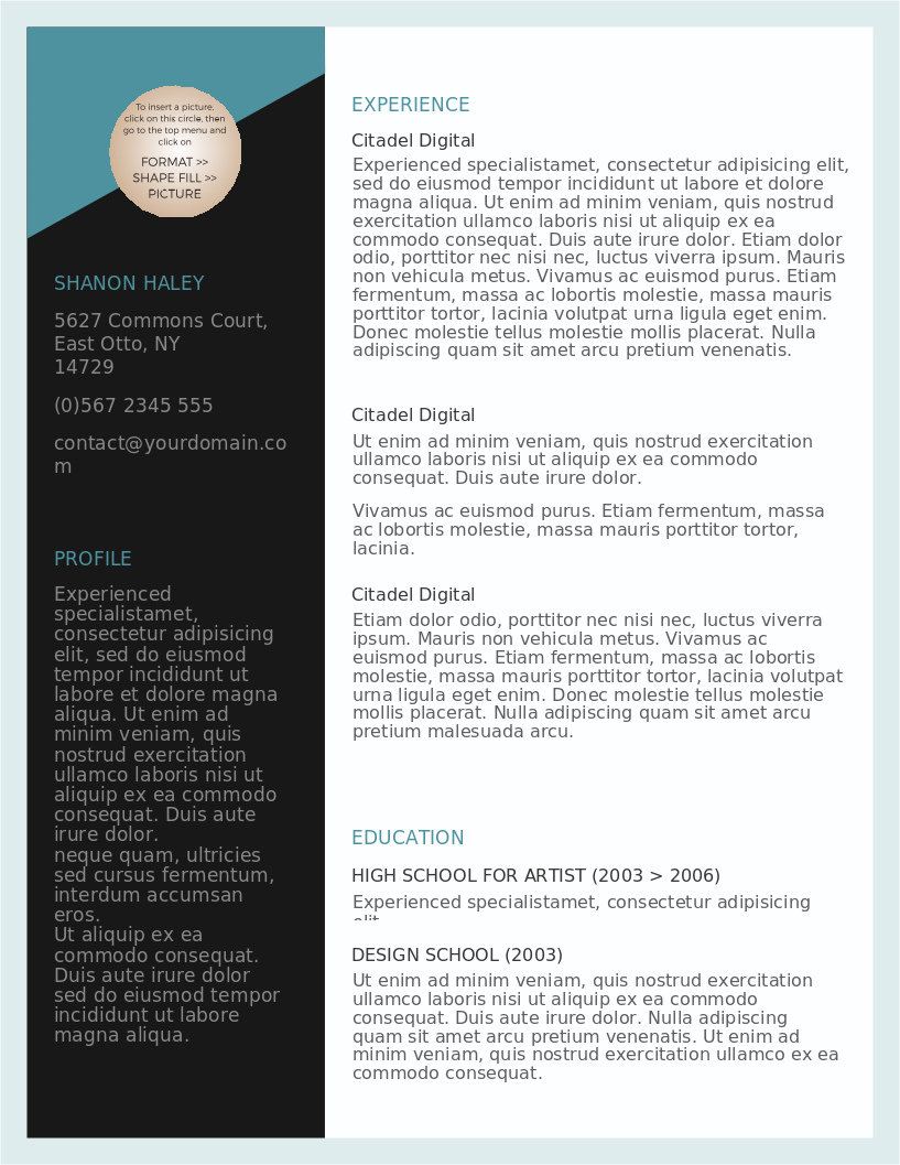 Job Winning CV – Vorschau